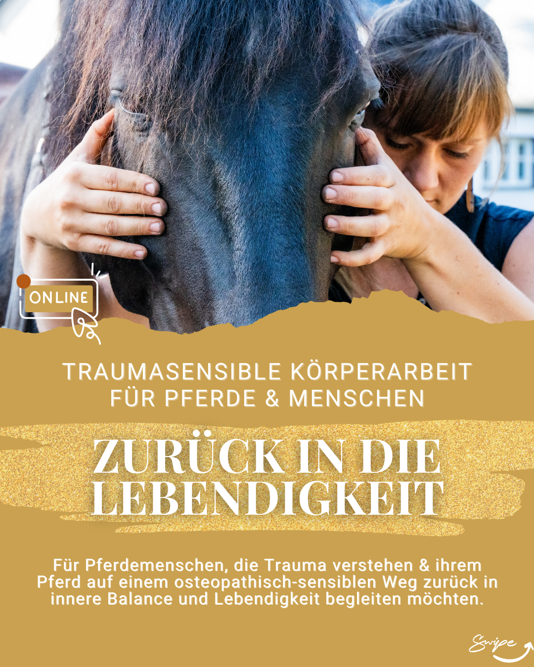 "Zurück in die Lebendigkeit" Traumasensible Körperarbeit für Pferde | 6-Wochen-Begleitung