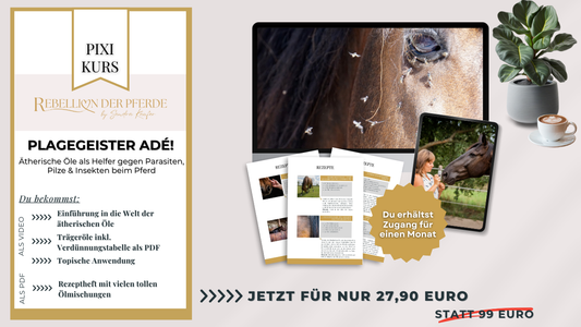 Plagegeister adé | Pixikurs
